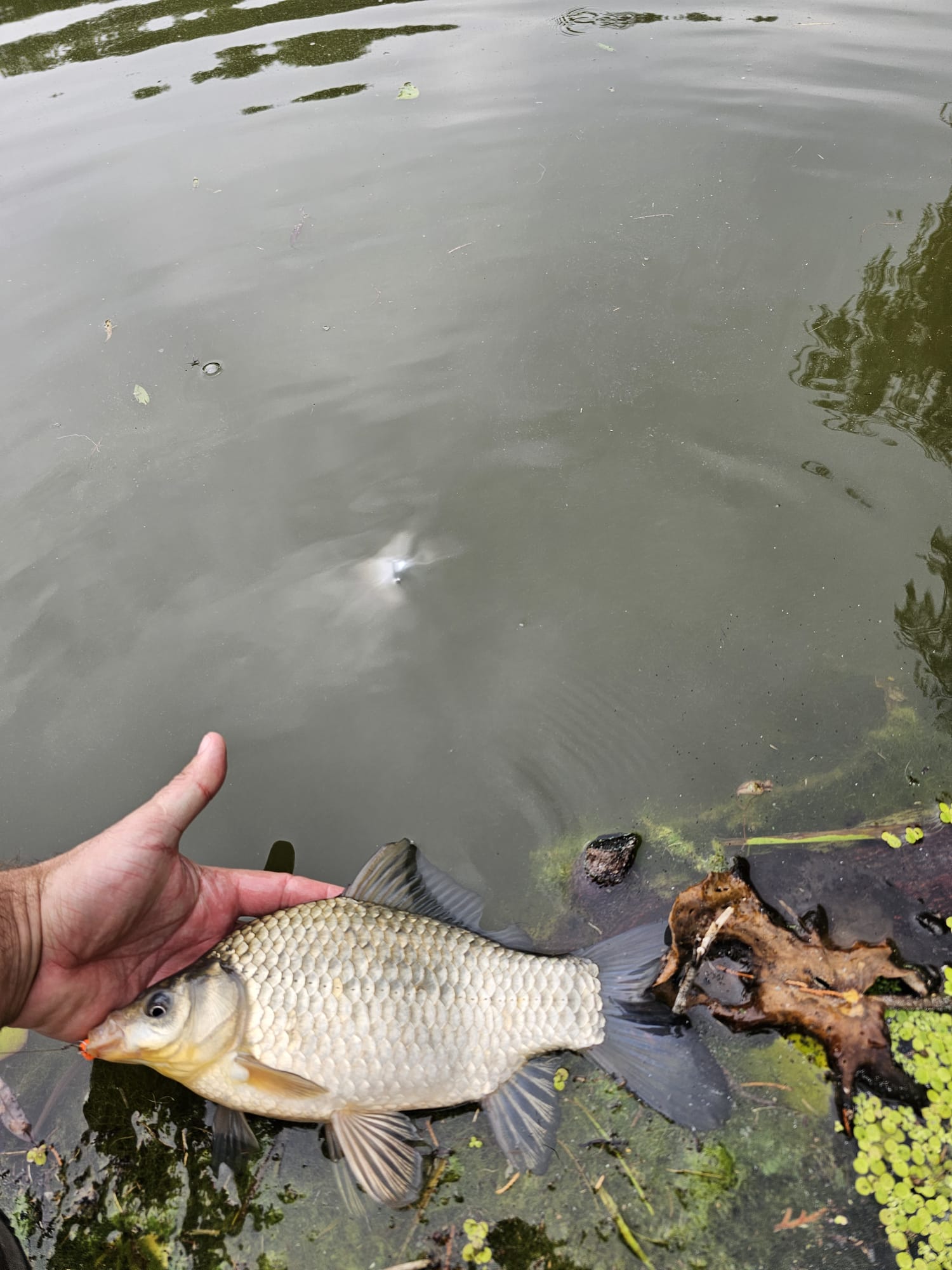 Sezon 2025 WhatsApp 109